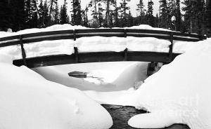 Snow Bridge For Sale